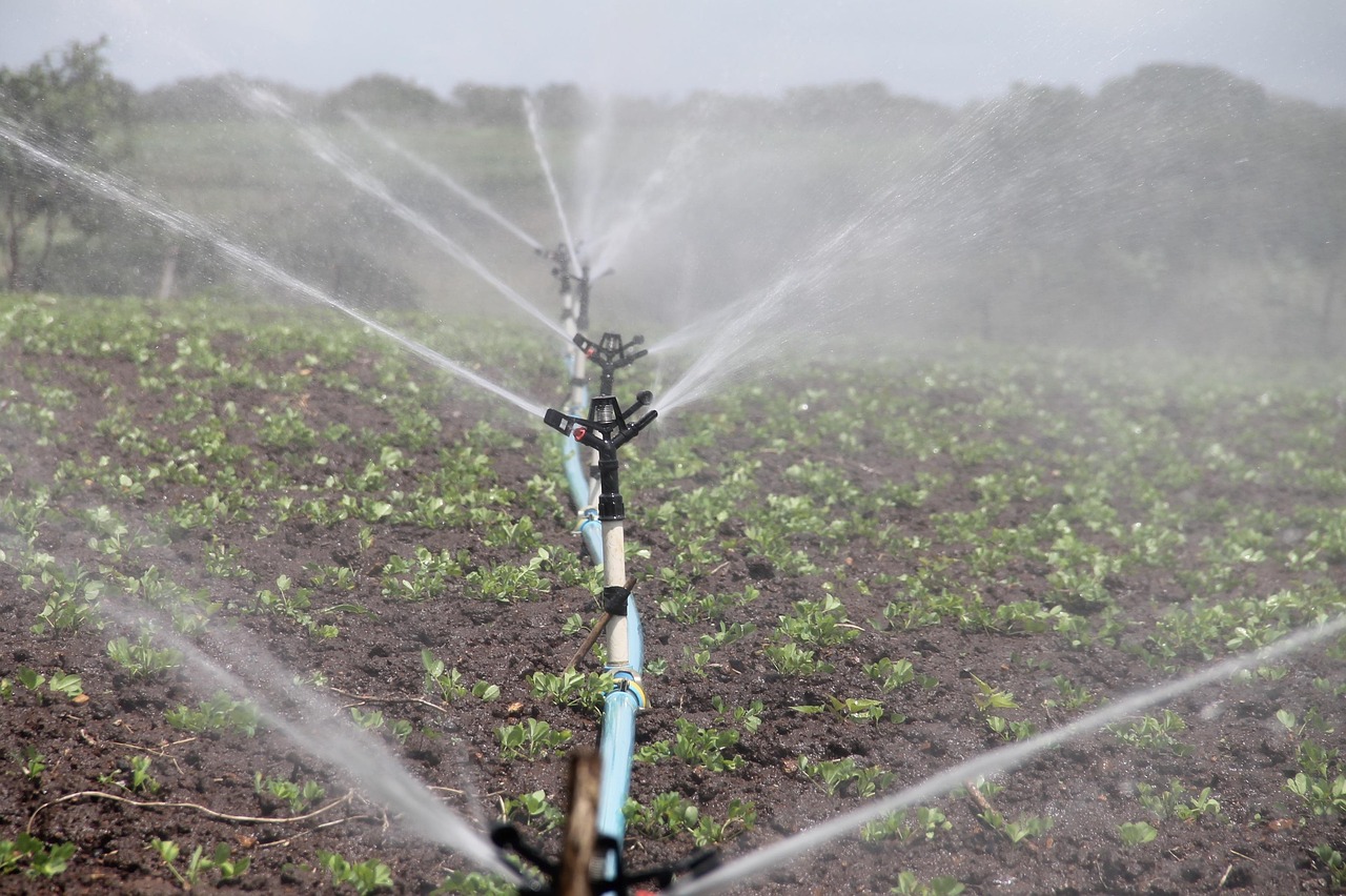 Sensoren meten vochtigheid voor efficiënte bewatering. Sensoren meten vochtigheid voor efficiënte bewatering.
