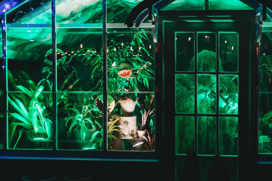 Ultieme zomerverlichting: bioluminescente planten in je outdoor ruimte
