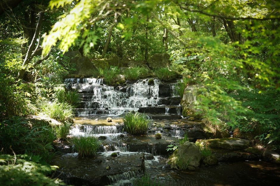 Japanse theetuinen: creëer je meditatieve hoekje