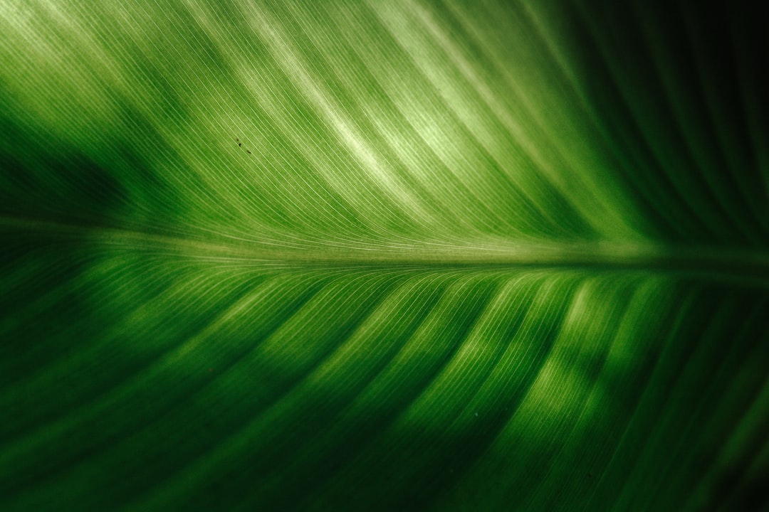 Smart gardening: gebruik technologie om je zomer tuinieren te optimaliseren