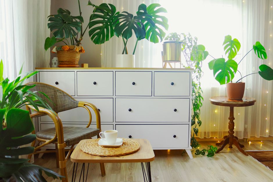 Transseasonale planten voor een groen levend huis