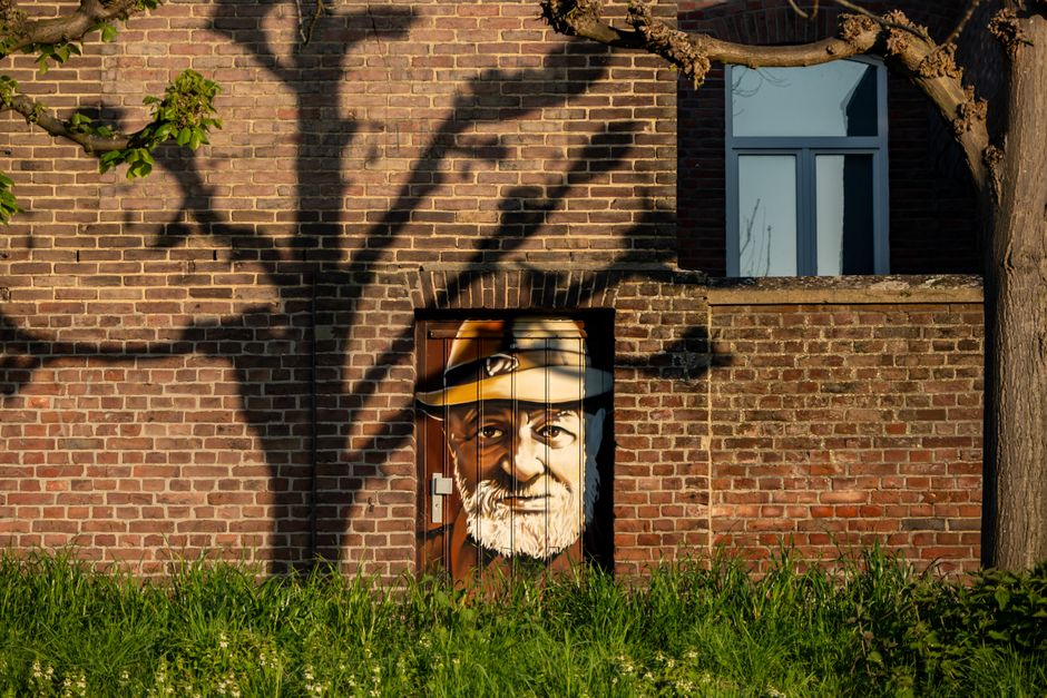 Schilderij kameleon kopen gids voor dynamische kamers